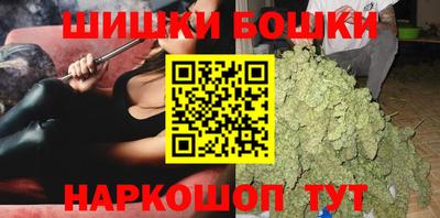 индика Гусь-Хрустальный