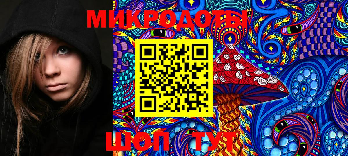 Псилоцибиновые грибы GOLDEN TEACHER  Вход с VPN  Мурино 